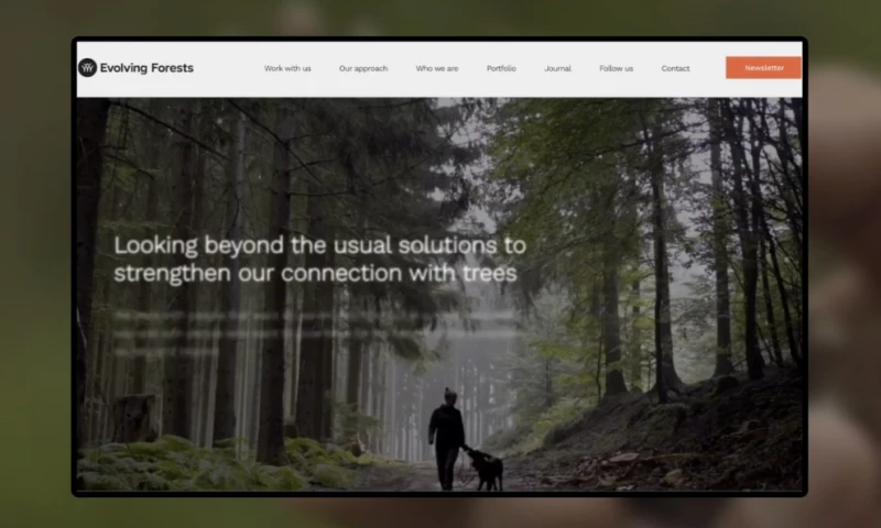 Southstik Studio - Evolving Forests