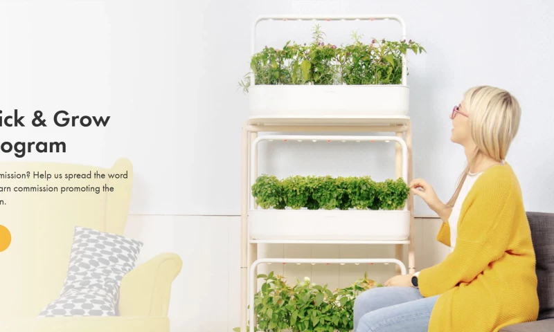 Affiliate Program Creation & Management