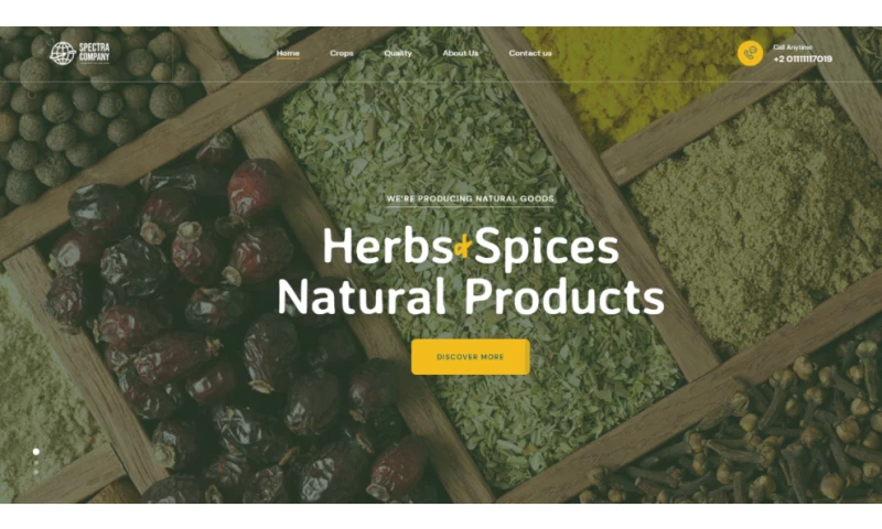 AFKAR Marketing agency - SPECTRA