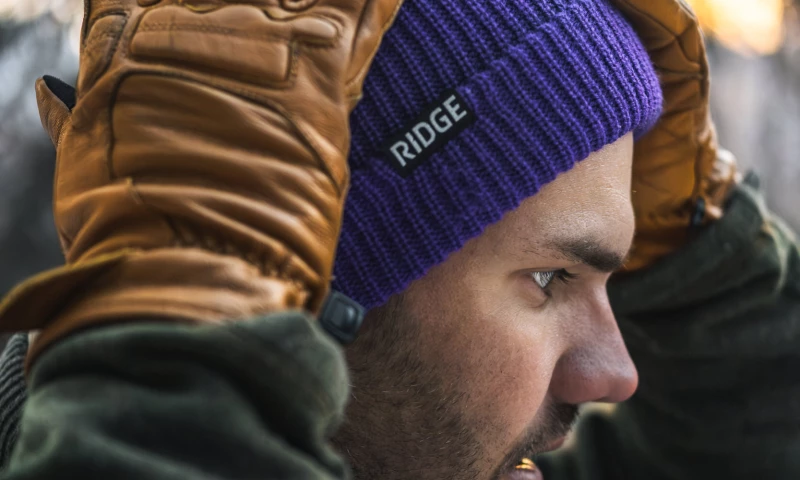 Ridge Alaska Twilight