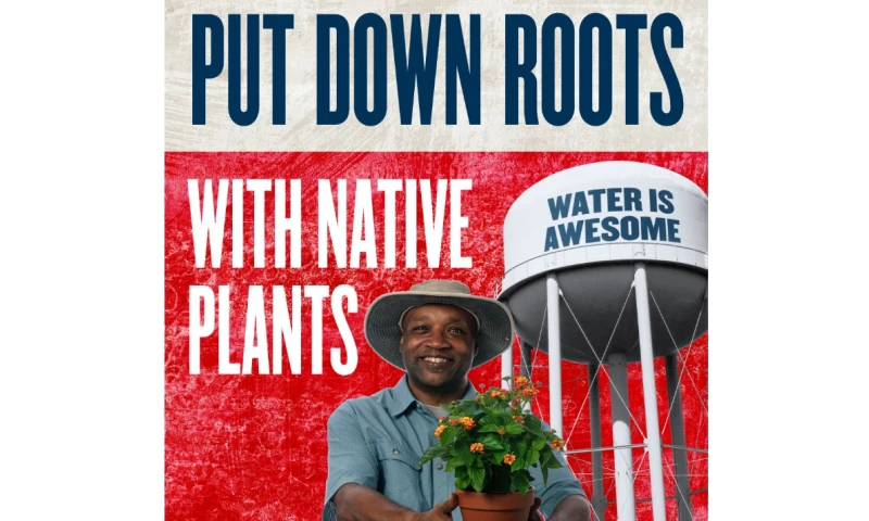 Tall Tales from the Towers of Texas