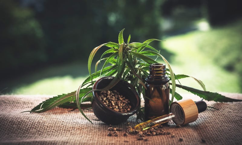 Cannabis Link Building Agency - GreenVibe Wellness Driving 80% Organic Growth with Strategic Link Building