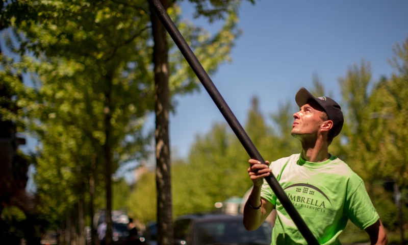 Digital Hot Sauce - Digital Marketing for Home Services Company