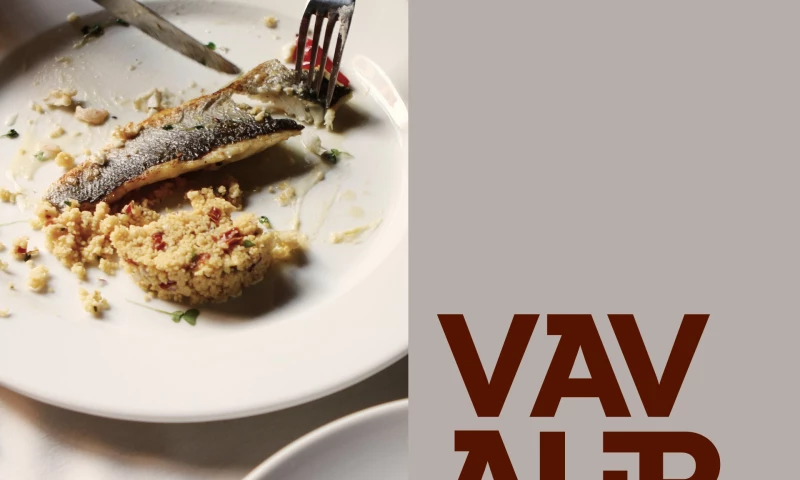 Whales Agency - Visual Identity for Vavaur