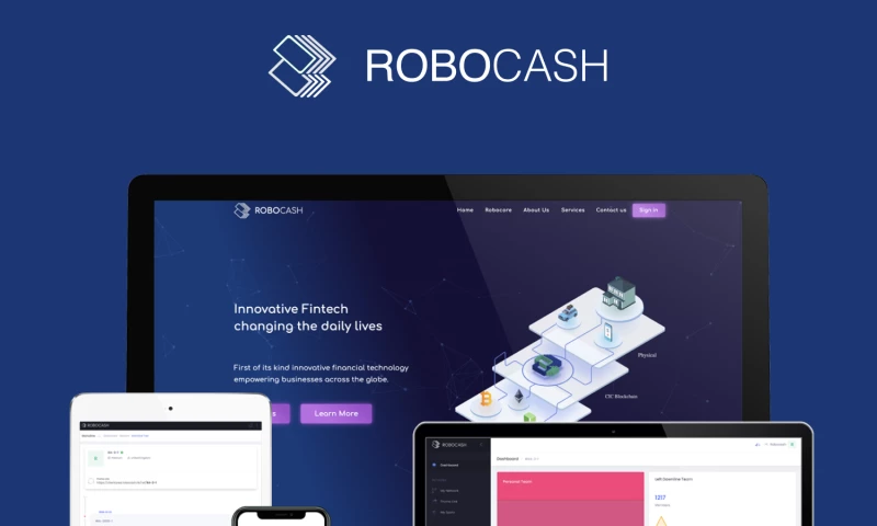 Robocash: FinTech WebApp