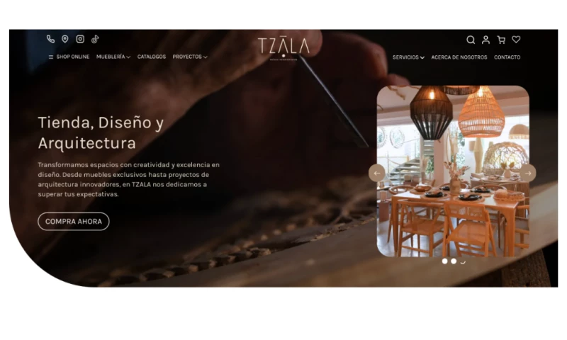 Branding & Web Development for Tzala Mexico