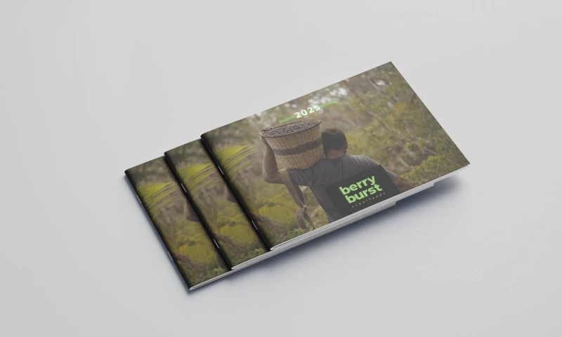 Gheg Design Studio - Berry Burst: Product Brochure