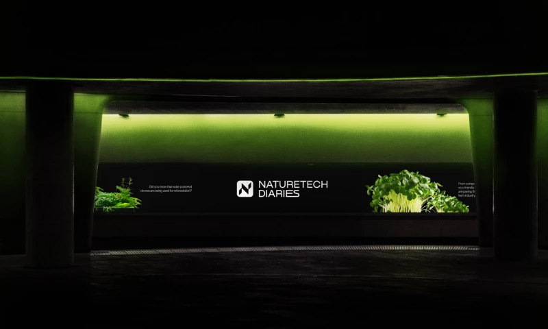 Whales Agency - Visual Identity for Nature Tech Diaries