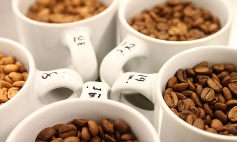 Whitneycann - Using big technology to achieve small-town success