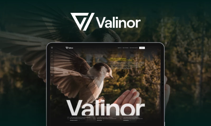 Blunt Notion - Valinor Intelligence