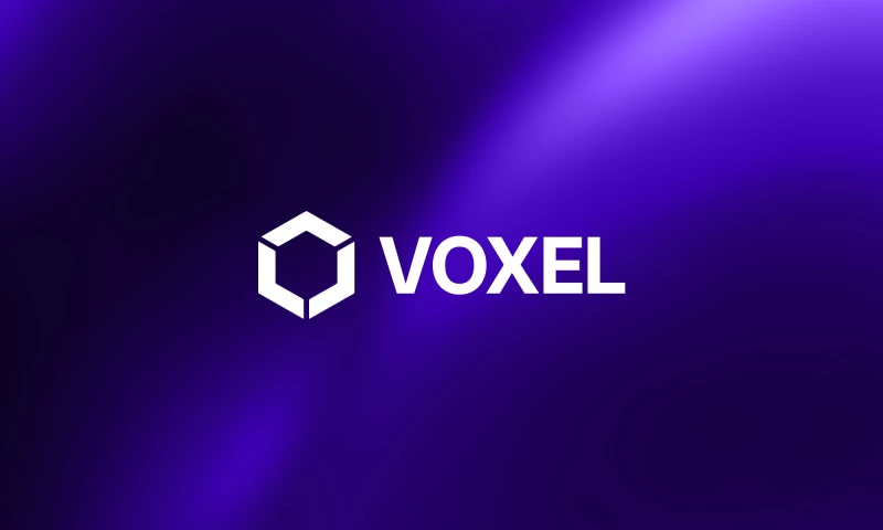 Voxel AI Branding & Visual Identity