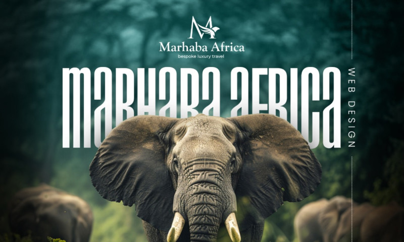 The Mighty Apes - Marhaba Africa Website Design & Development