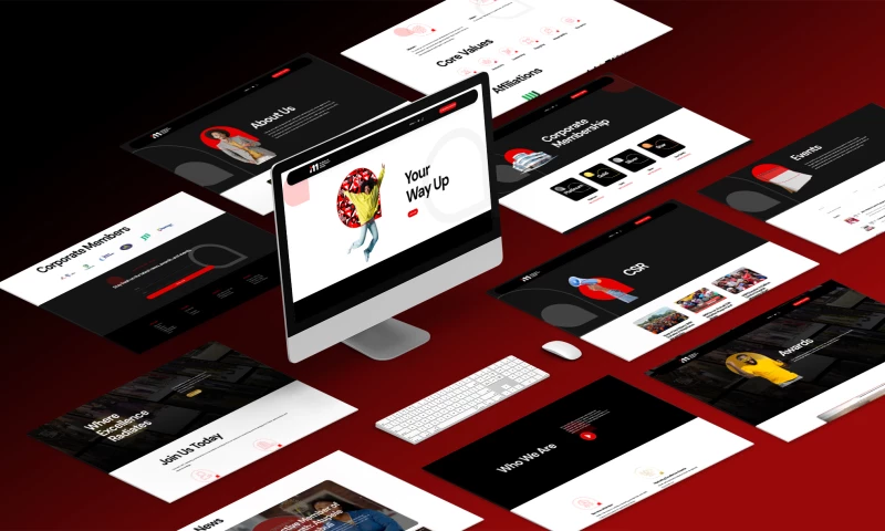 Gilson Techs - Institute of Marketing in Malawi (IMM)