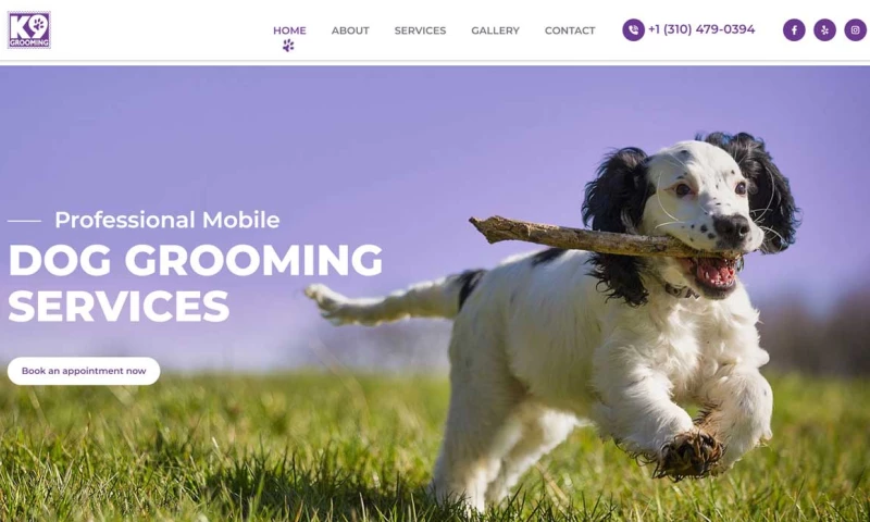 Sunlight Media - K9 Grooming