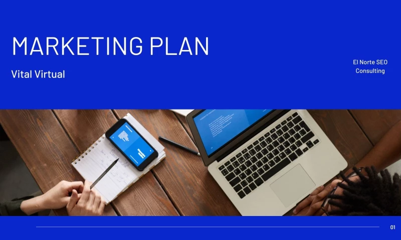 Advanced SEO & Website Management Plan for Vital Virtual