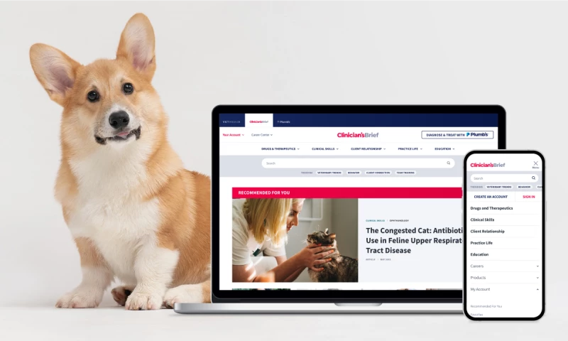 Creating an interactive digital hub for veterinary professionals