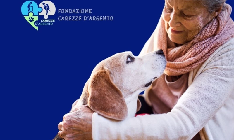Dream Big Design - Fondazione no-profit per anziani e animali Carezze dArgento
