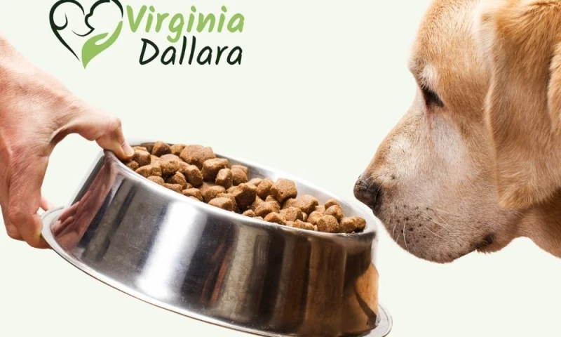 Dream Big Design - Naturopata per animali Virginia Dallara