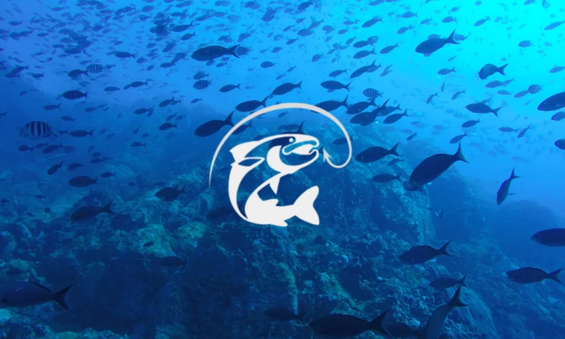 Invenex - Al Shahama Website and SEO