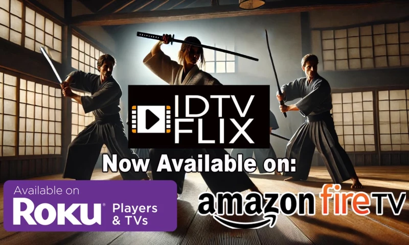 30A Media - IDTV FLIX