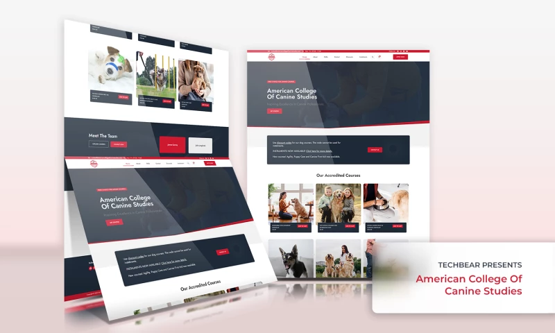 TechBear - American College of Canine Studies