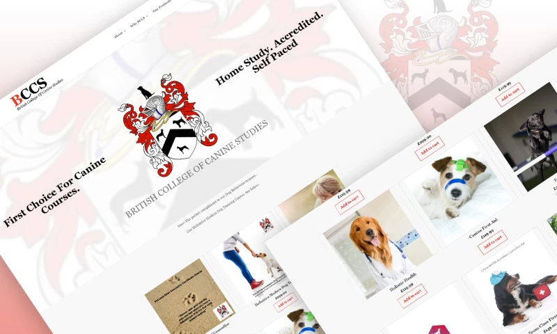 TechBear - British College of Canine Studies