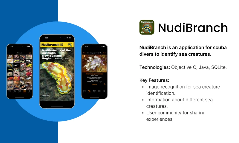 NudiBranch: An App for Scuba Divers to Identify Sea Creatures