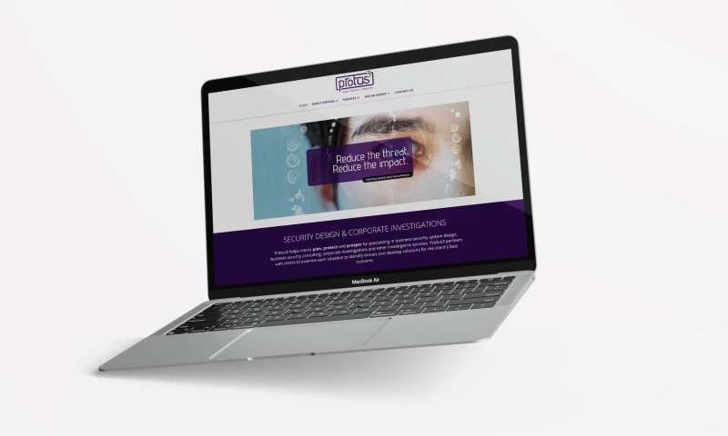 Hummingbird - Protus3 Branding