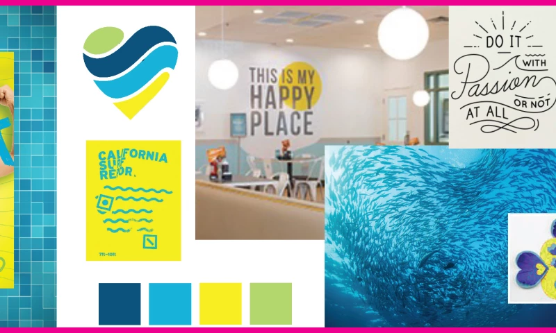 Hummingbird - Charlotte Aquatics Branding