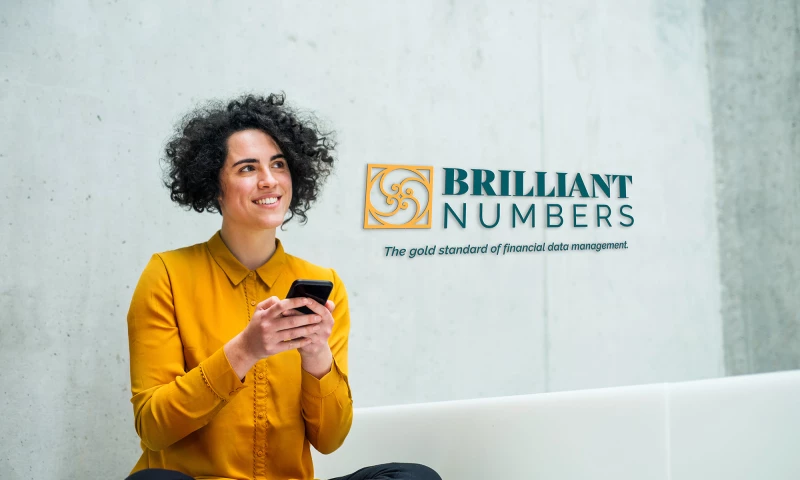 Hummingbird - Brilliant Numbers Branding