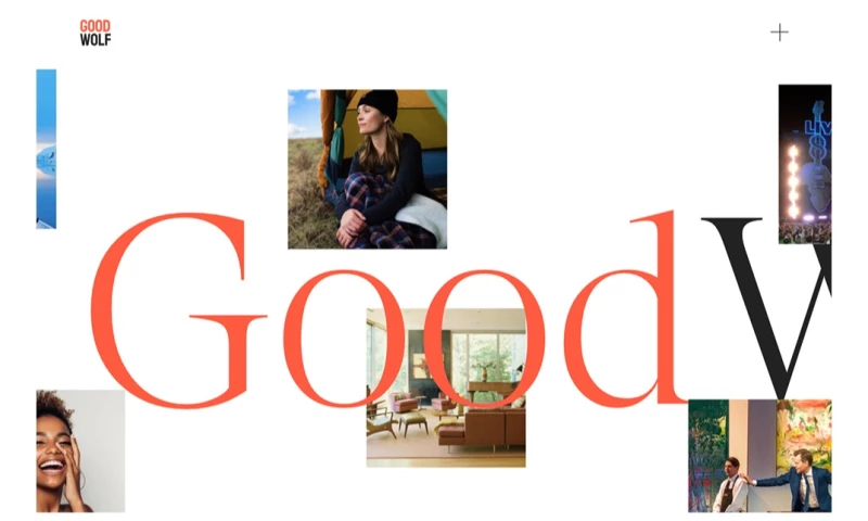 The Good Wolf | Webflow No-Code Development