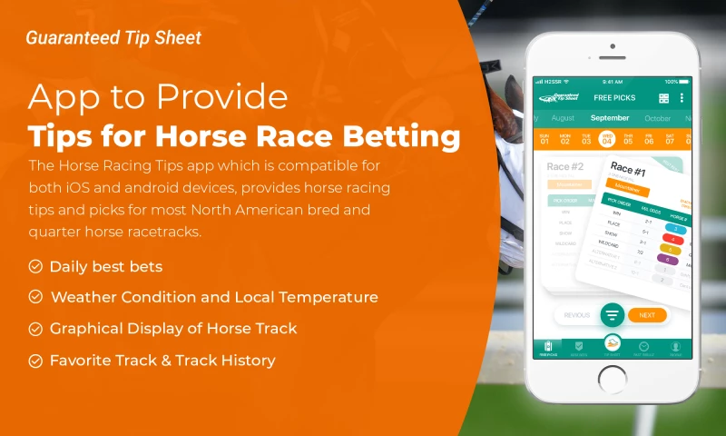 NewAgeSysIT - App to Provide Tips for Horse Race Betting
