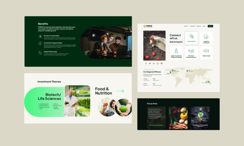 Second Crew - Thrive