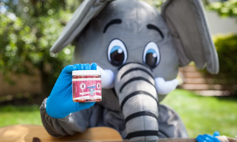 Dear America, Chill TF Out