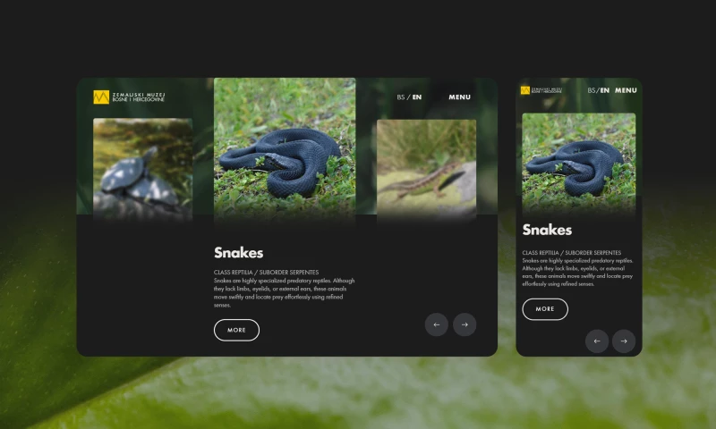 Revamp Studio - Herpetology Exhibition