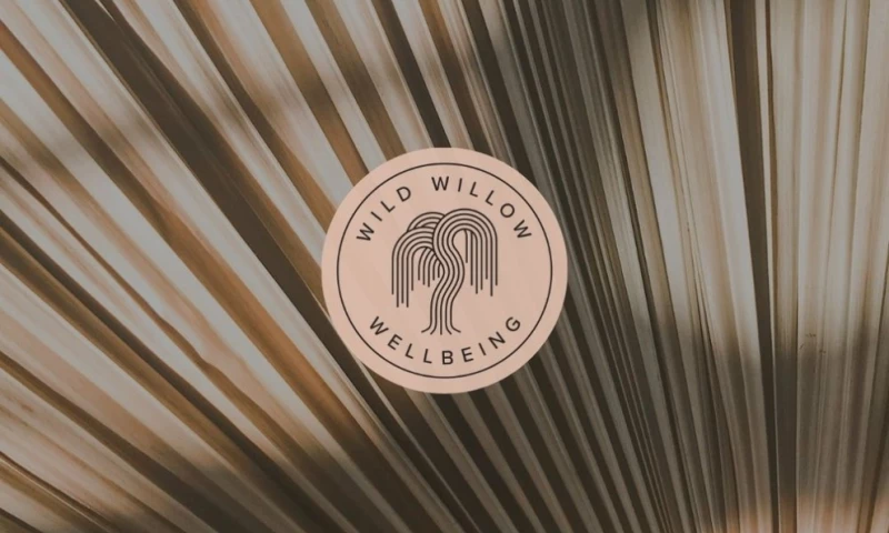 Salt & Chalk Studio - Wild Willow Wellbeing