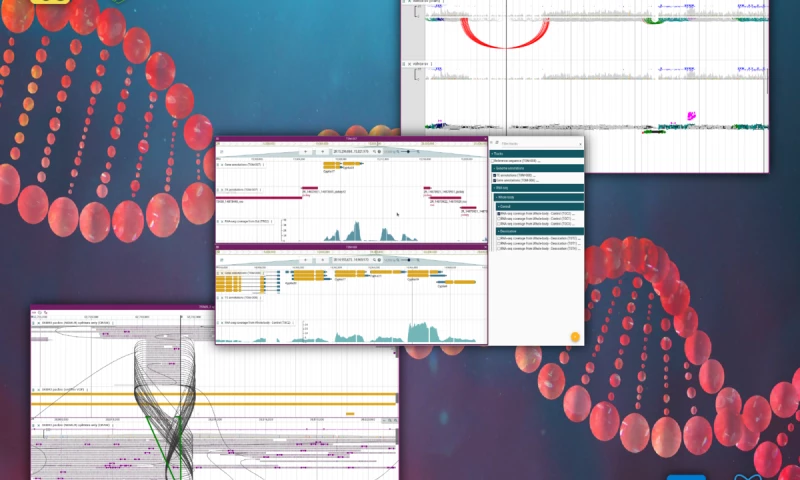 Genome Visualization Tool