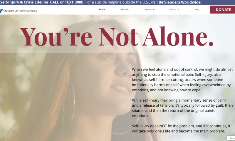 Fineman Communications Graphic Design - ASIF Website