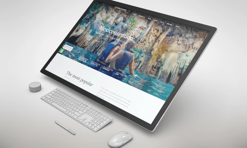 Sitio Web Mexiconsentido