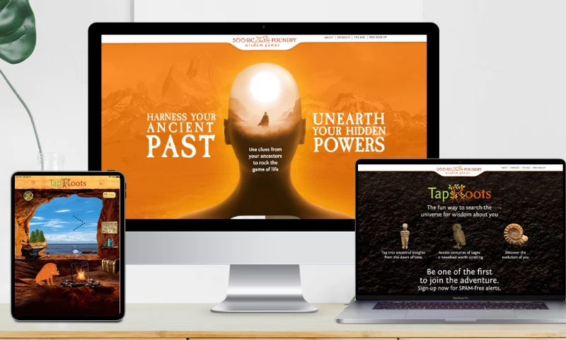 SemiDot Infotech - 500BC - WordPress Website