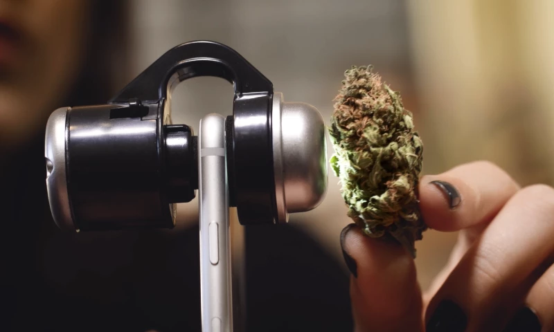 Shoof - Creative Video - Higrade Performance Video Production