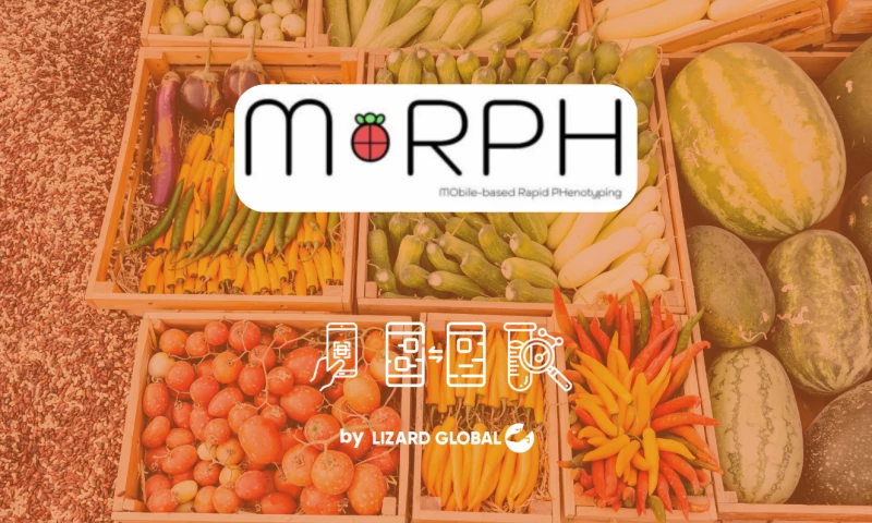 Lizard Global - MorPH