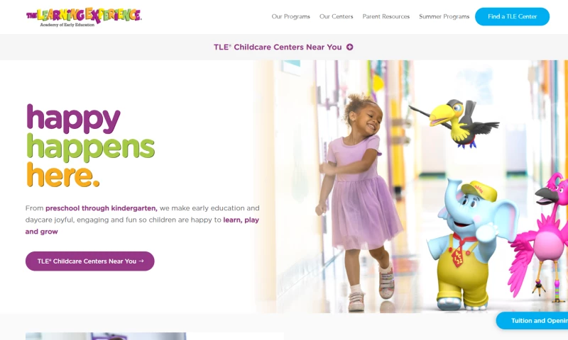 The Learning Experience