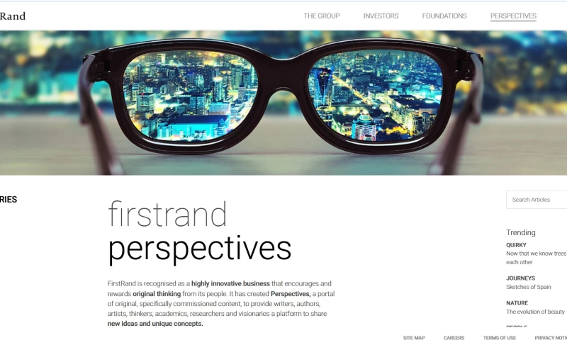 BLACKSWANTHEORY - FirstRand Perspectives