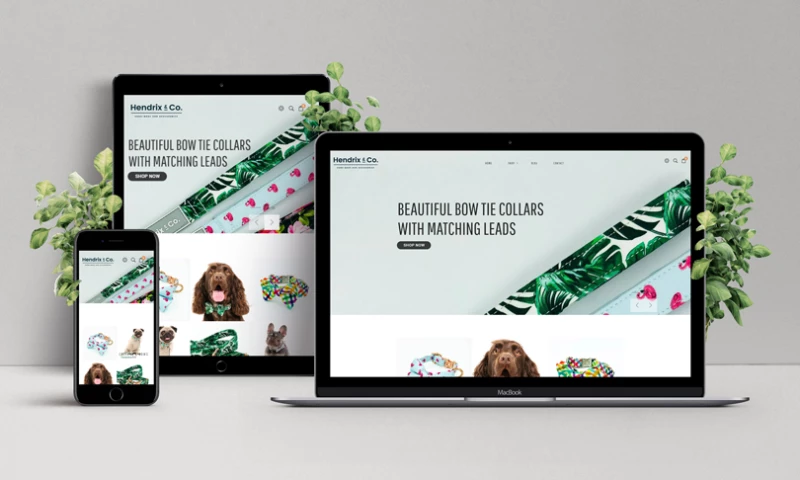 WebContrive Technologies - Hendrix & Co