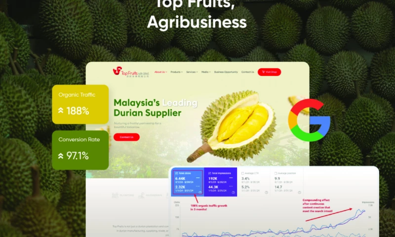 Top Fruits Durian Supplier - Conversion Rate Increase by 97.1% in Just 3 Months
