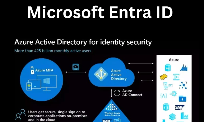 SSM Networks & Software - Microsoft Tenant Security Consultation