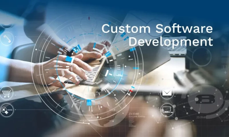 Custom Software Development for Digital Solutions Agency