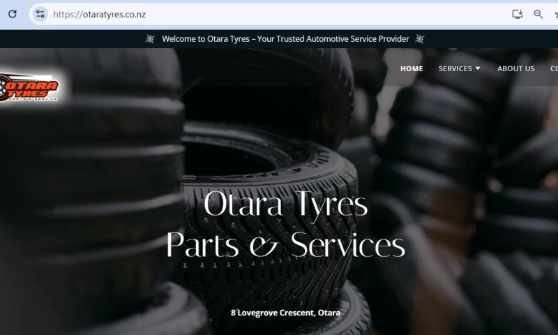 Samanta Solutions - Webstie Building