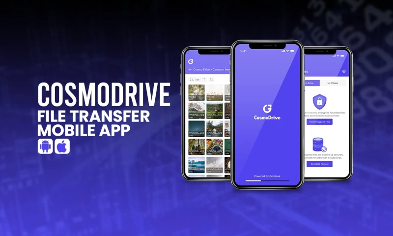Repla Technologies PVT LTD - Cosmo Drive
